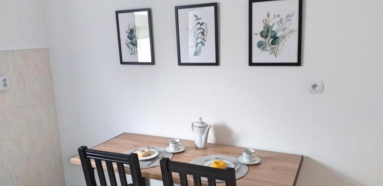 Zielona Ostoja Apartment *