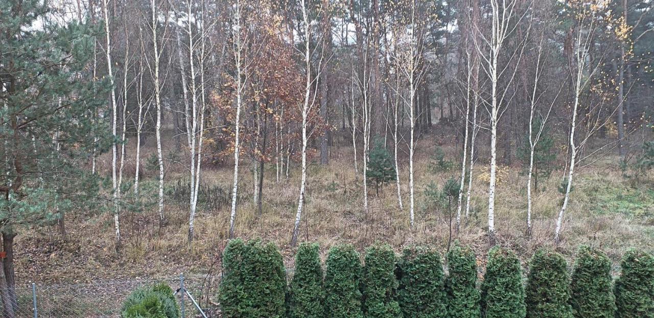 Zielona Ostoja Apartment Borne Sulinowo